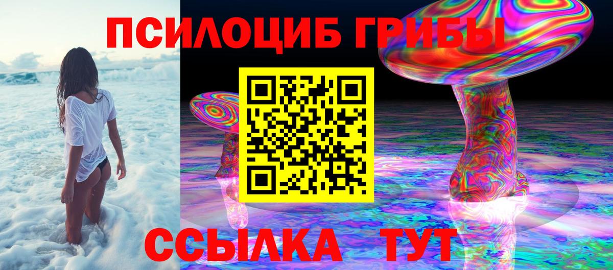 Сальск  Псилоцибиновые грибы прущие грибы  Вход с VPN 