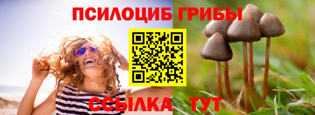 Сальск  Вход с VPN  МАРИХУАНА  МЕФ  КОКАИН  ГАШИШ  МЕФ кристаллы  Гашиш 